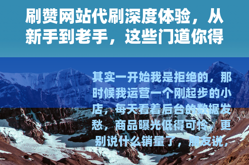 刷赞网站代刷深度体验，从新手到老手，这些门道你得知道