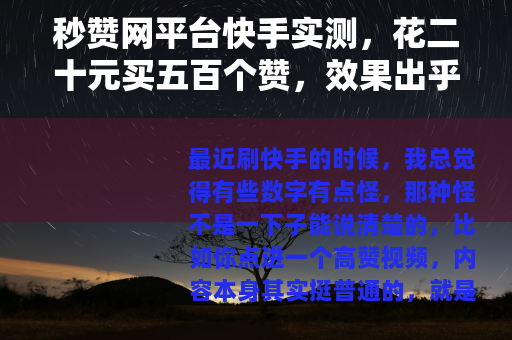 秒赞网平台快手实测，花二十元买五百个赞，效果出乎意料