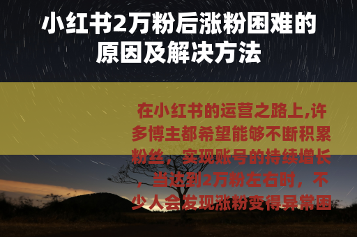 小红书2万粉后涨粉困难的原因及解决方法