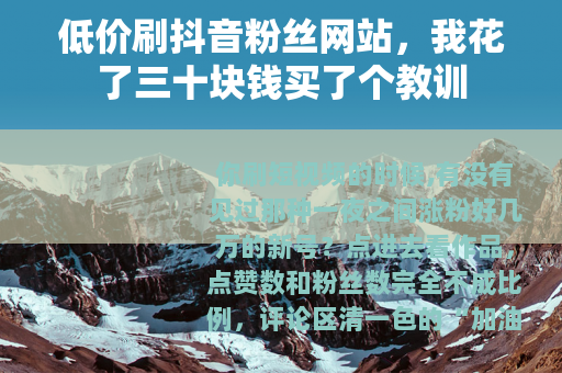 低价刷抖音粉丝网站，我花了三十块钱买了个教训