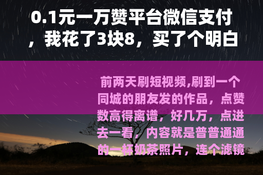0.1元一万赞平台微信支付，我花了3块8，买了个明白