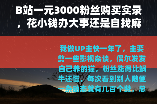 B站一元3000粉丝购买实录，花小钱办大事还是自找麻烦？