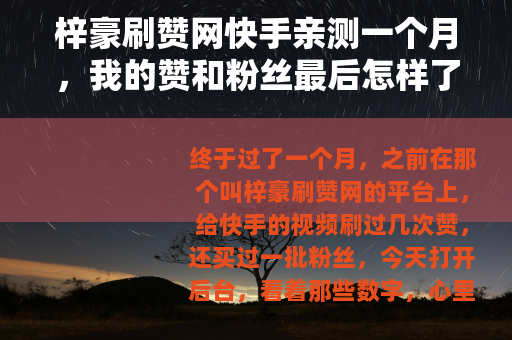 梓豪刷赞网快手亲测一个月，我的赞和粉丝最后怎样了