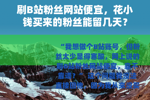 刷B站粉丝网站便宜，花小钱买来的粉丝能留几天？