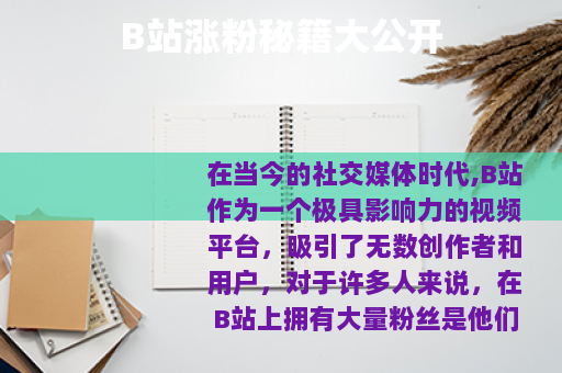 B站涨粉秘籍大公开