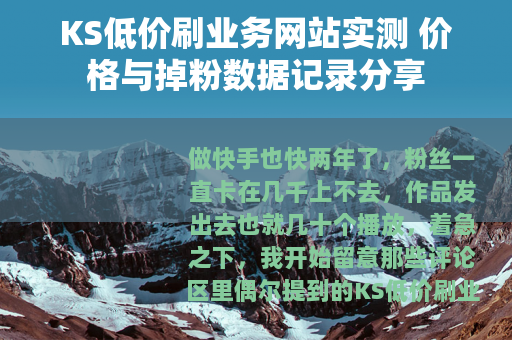KS低价刷业务网站实测 价格与掉粉数据记录分享