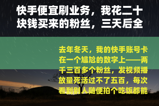 快手便宜刷业务，我花二十块钱买来的粉丝，三天后全跑光了