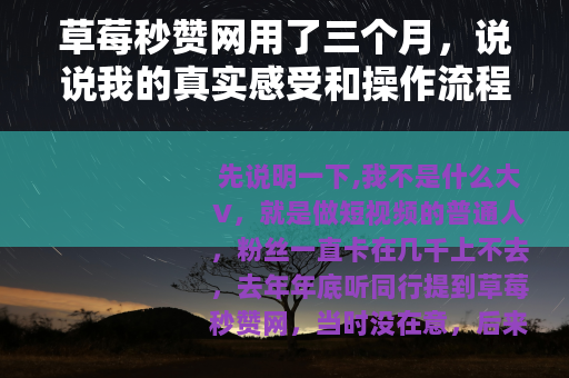 草莓秒赞网用了三个月，说说我的真实感受和操作流程