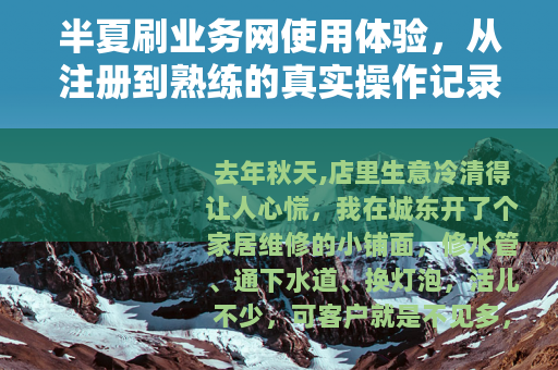 半夏刷业务网使用体验，从注册到熟练的真实操作记录与分析