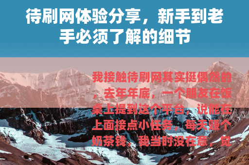 待刷网体验分享，新手到老手必须了解的细节