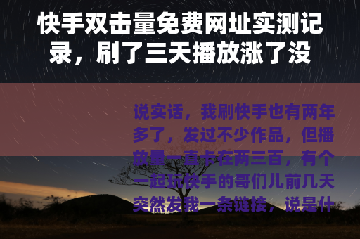 快手双击量免费网址实测记录，刷了三天播放涨了没
