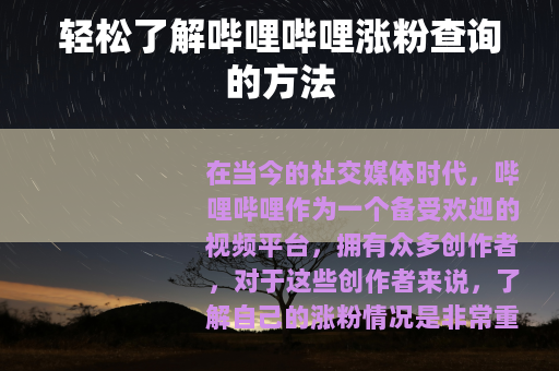 轻松了解哔哩哔哩涨粉查询的方法