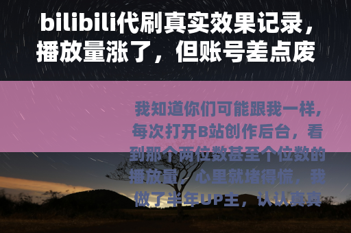 bilibili代刷真实效果记录，播放量涨了，但账号差点废了