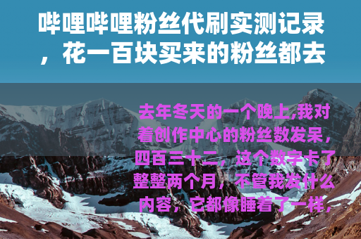 哔哩哔哩粉丝代刷实测记录，花一百块买来的粉丝都去哪了