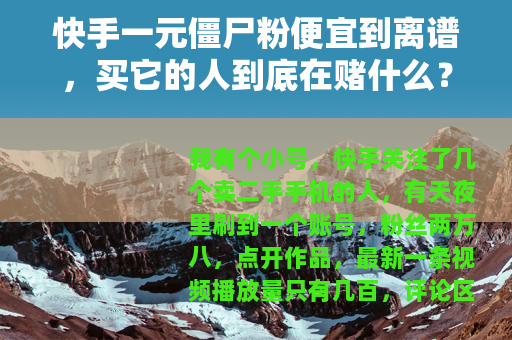 快手一元僵尸粉便宜到离谱，买它的人到底在赌什么？