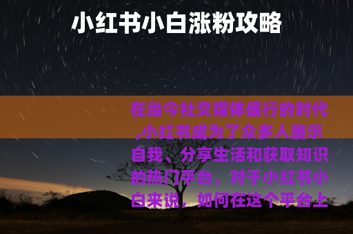 小红书小白涨粉攻略