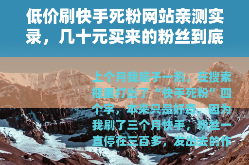 低价刷快手死粉网站亲测实录，几十元买来的粉丝到底值不值