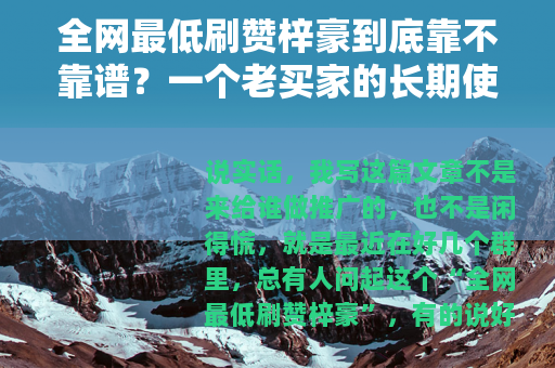 全网最低刷赞梓豪到底靠不靠谱？一个老买家的长期使用记录
