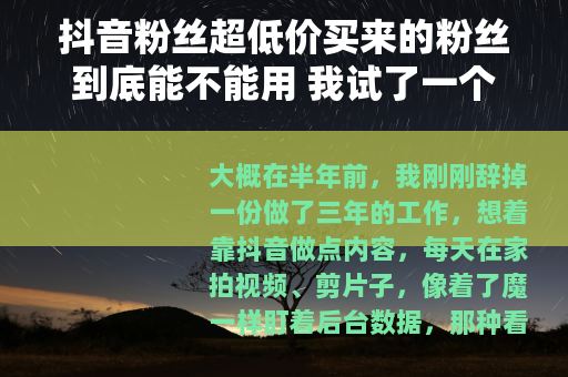 抖音粉丝超低价买来的粉丝到底能不能用 我试了一个月
