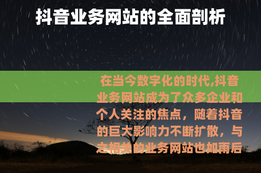 抖音业务网站的全面剖析