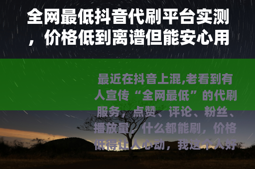 全网最低抖音代刷平台实测,价格低到离谱但能安心用吗? 全网最低抖音代刷平台实测,价格低到离谱但能安心用吗?