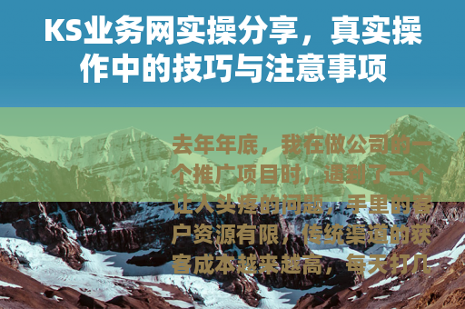 KS业务网实操分享，真实操作中的技巧与注意事项