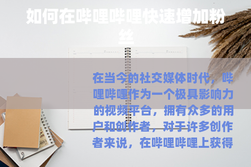 如何在哔哩哔哩快速增加粉丝