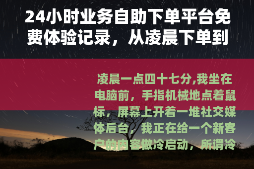 24小时业务自助下单平台免费体验记录，从凌晨下单到数据变化