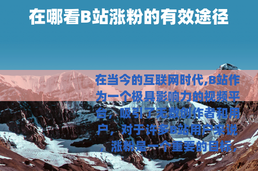 在哪看B站涨粉的有效途径