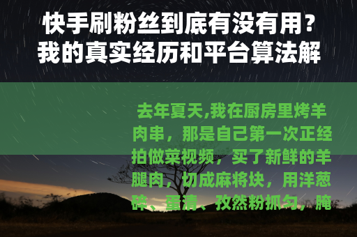 快手刷粉丝到底有没有用？我的真实经历和平台算法解析