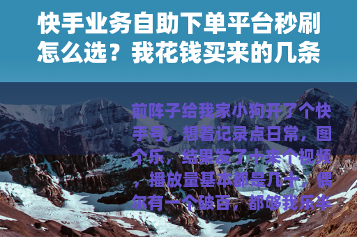 快手业务自助下单平台秒刷怎么选？我花钱买来的几条经验