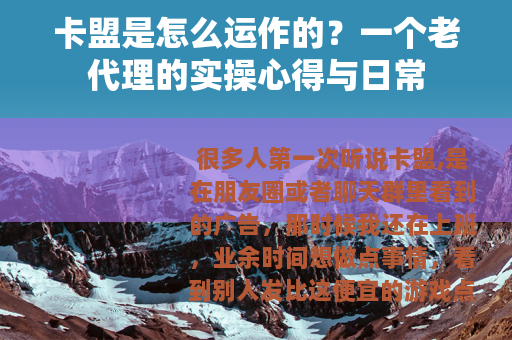 卡盟是怎么运作的？一个老代理的实操心得与日常