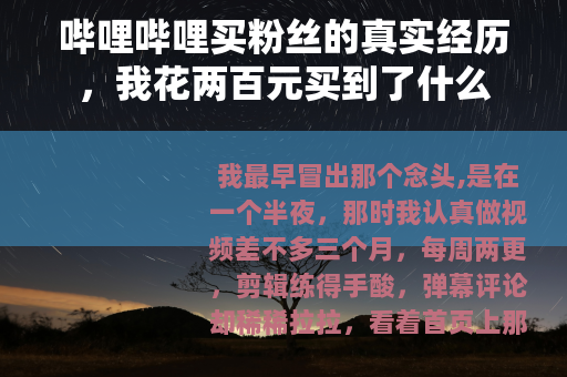 哔哩哔哩买粉丝的真实经历，我花两百元买到了什么