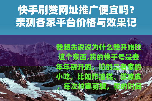 快手刷赞网址推广便宜吗？亲测各家平台价格与效果记录
