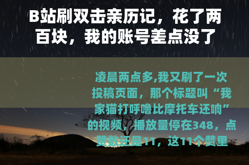 B站刷双击亲历记，花了两百块，我的账号差点没了