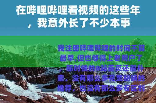 在哔哩哔哩看视频的这些年，我意外长了不少本事