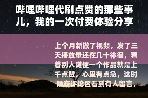 哔哩哔哩代刷点赞的那些事儿，我的一次付费体验分享