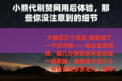 小熊代刷赞网用后体验，那些你没注意到的细节