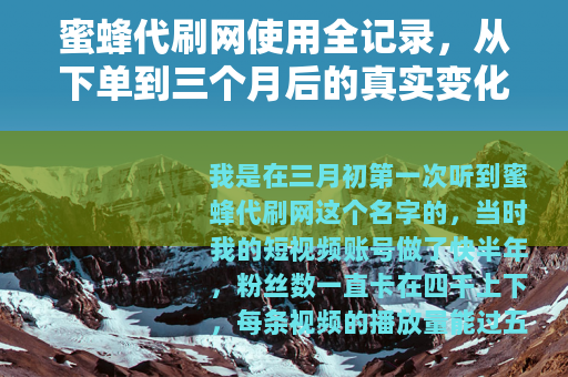 蜜蜂代刷网使用全记录，从下单到三个月后的真实变化