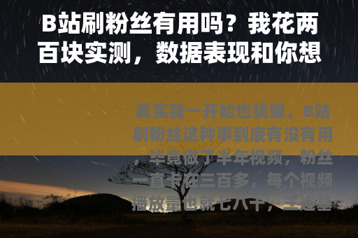 B站刷粉丝有用吗？我花两百块实测，数据表现和你想的不一样