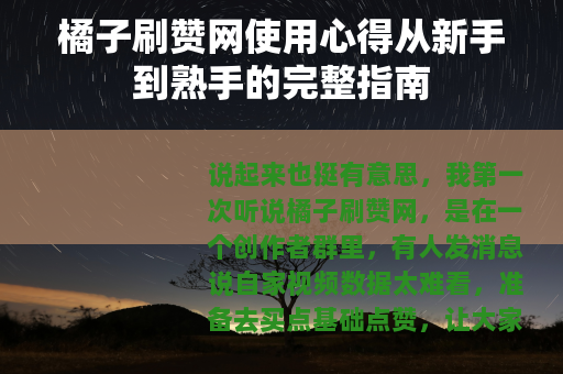 橘子刷赞网使用心得从新手到熟手的完整指南