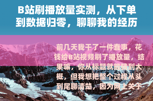 B站刷播放量实测，从下单到数据归零，聊聊我的经历