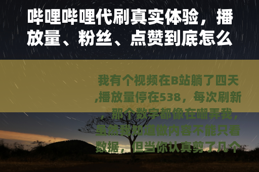 哔哩哔哩代刷真实体验，播放量、粉丝、点赞到底怎么算？