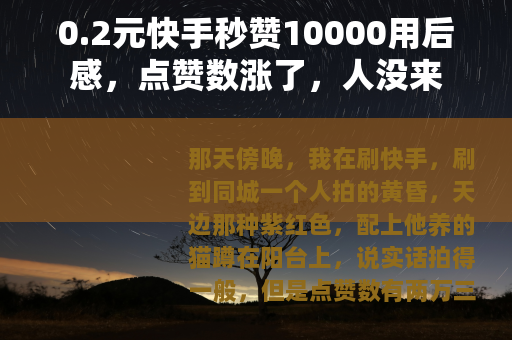 0.2元快手秒赞10000用后感，点赞数涨了，人没来