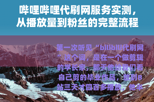 哔哩哔哩代刷网服务实测，从播放量到粉丝的完整流程解析