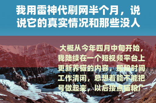 我用雷神代刷网半个月，说说它的真实情况和那些没人提的细节