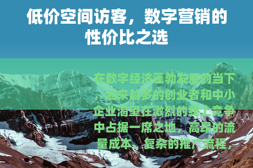 低价空间访客，数字营销的性价比之选