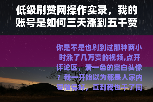 低级刷赞网操作实录，我的账号是如何三天涨到五千赞的