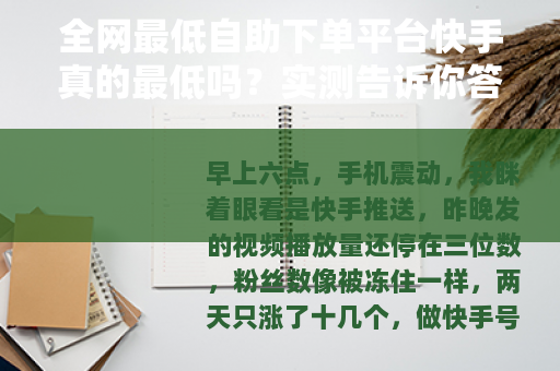 全网最低自助下单平台快手真的最低吗？实测告诉你答案
