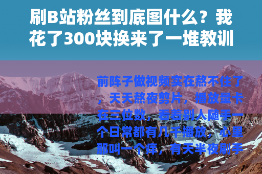 刷B站粉丝到底图什么？我花了300块换来了一堆教训